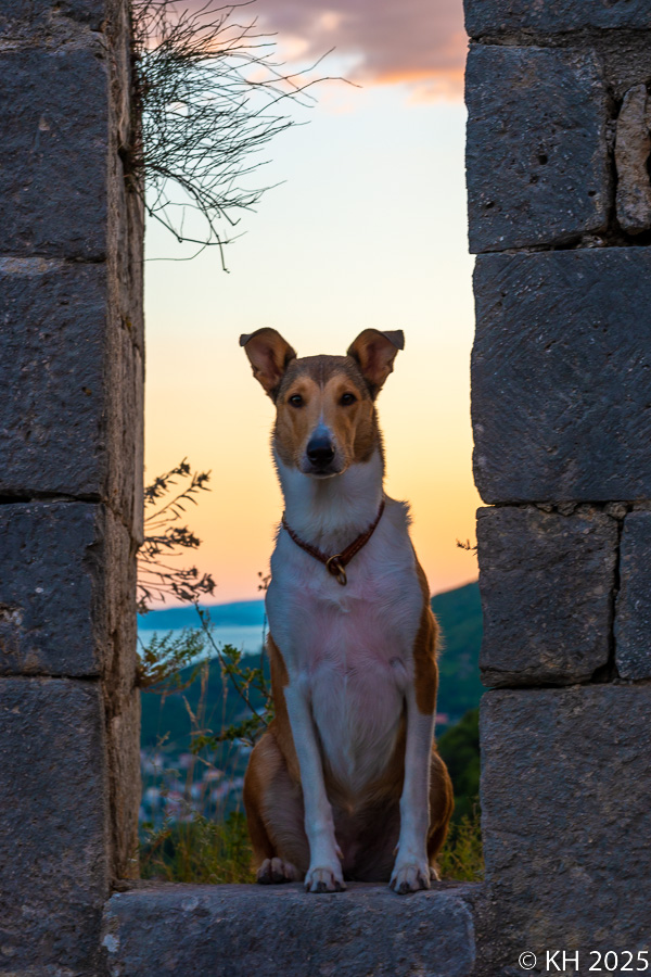 split_25-6636.jpg
